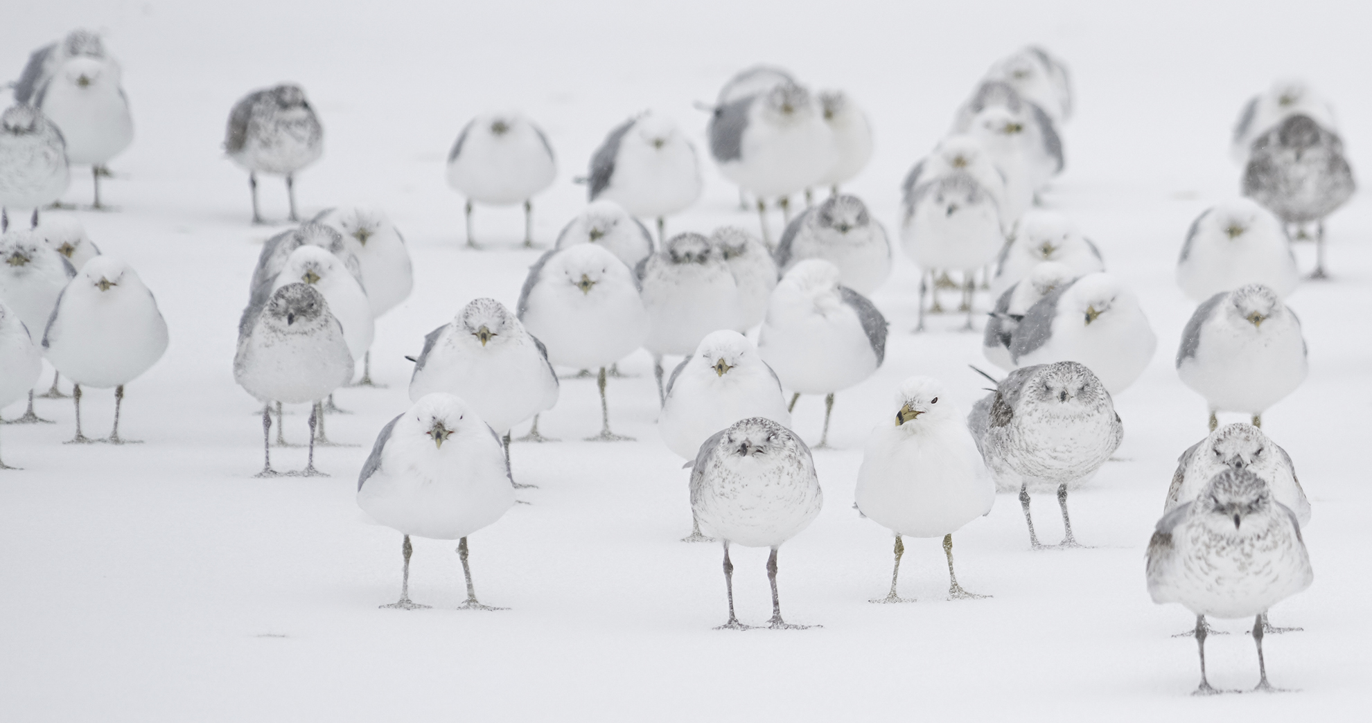 Ganadores Tour c de c 2023