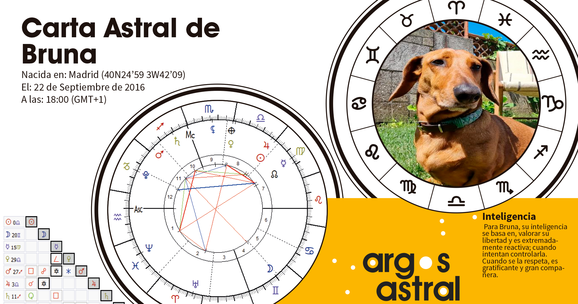 La metamorfosis de un creativo publicitario