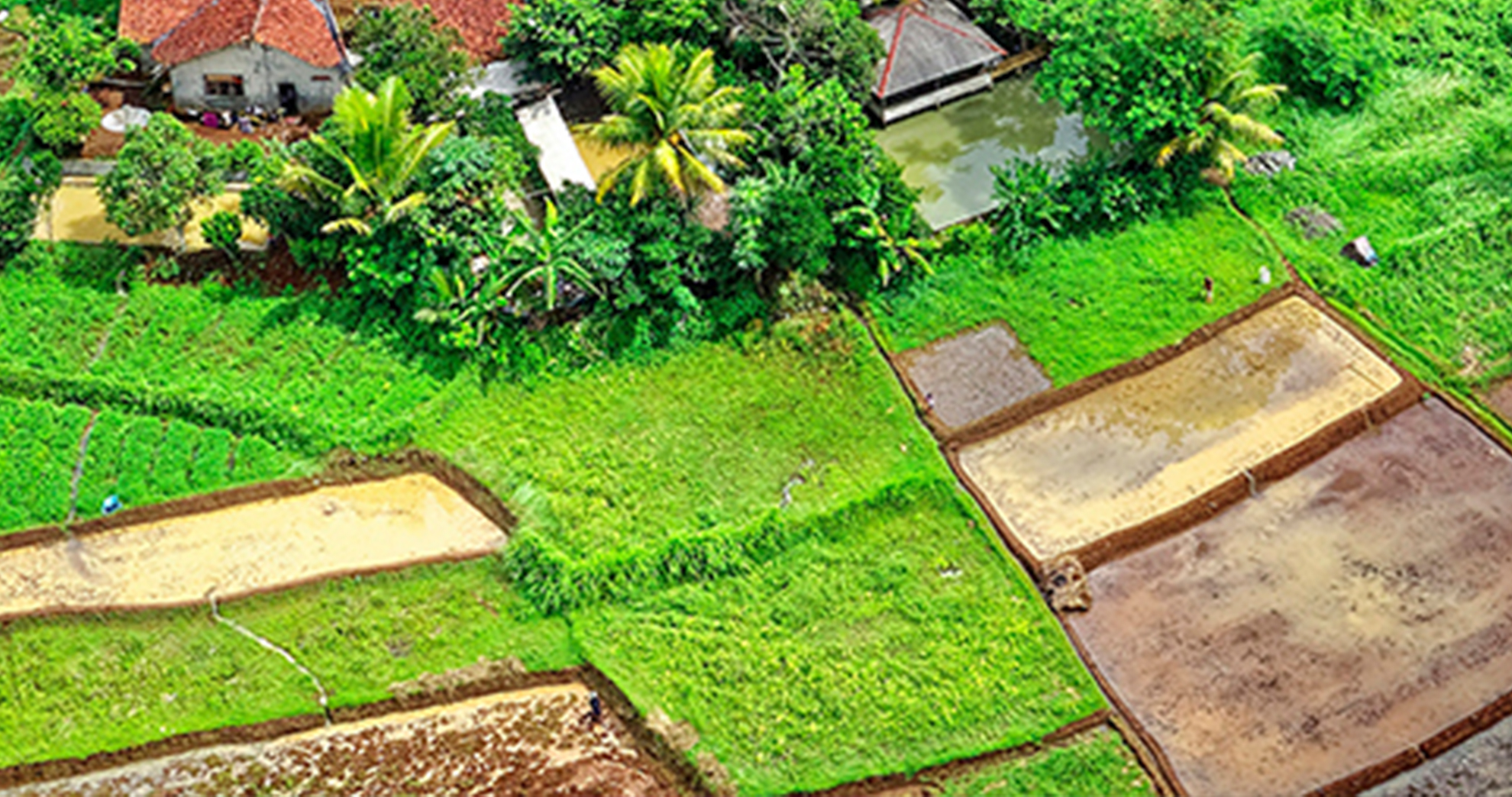 Hoy no es mañana. Éxodo rural