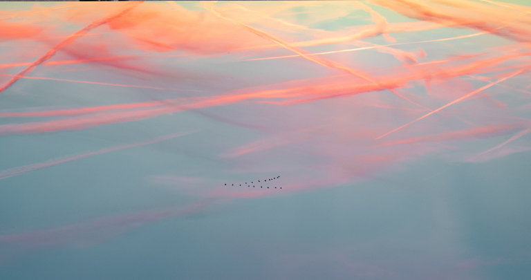 Hoy no es mañana. Más allá del planeta